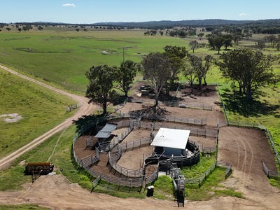 Palgrove, 555 Palgrave Road, Dalveen, QLD