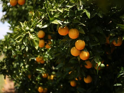 Address available on request, Forbes, NSW