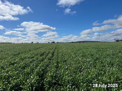 Wilgaroi, 207 Wilgaroi Road, Bellata, NSW