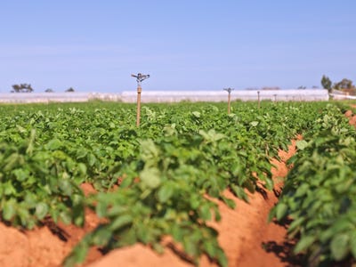 Lot 3000 Robert Road, Virginia, SA