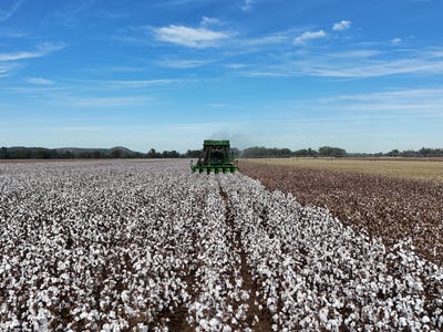 East Cooltah  Karnang, 570 Dulla Dulla Road, Narromine, NSW