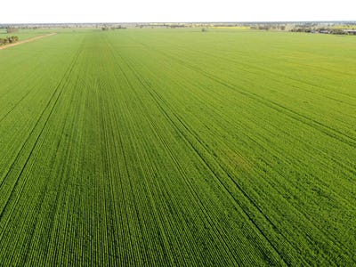 Address available on request, Wirrinya, NSW