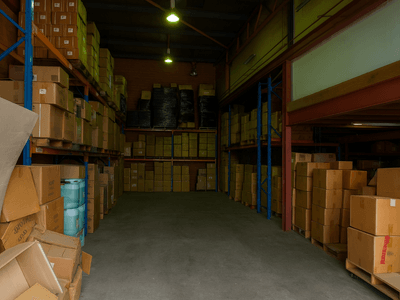 4/9 Swaffham Road, Minto, NSW