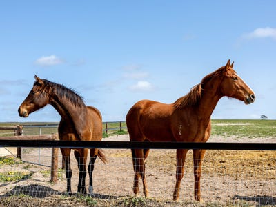 478 Usher Road, Gifford Hill, SA