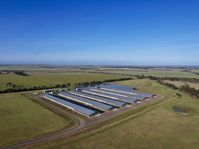 Somerset Poultry, 124 Windermere Road, Murgheboluc, VIC