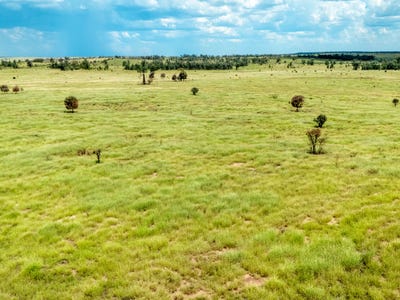 Taylors Plains, 10077 Hoganthulla Road, Mungallala, QLD