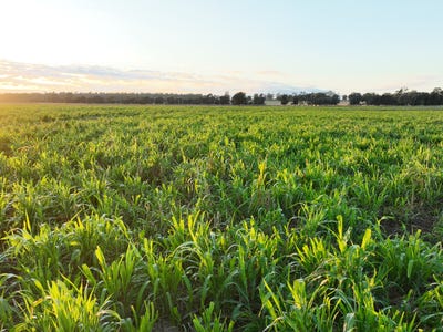 Killaloo, 214 Drillham South Road, Drillham, QLD