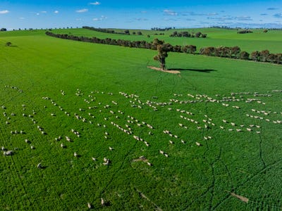 Address available on request, Greenethorpe, NSW