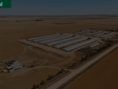 432 Wheat Road, Beaufort, SA