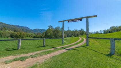 Property at 16 Killabakh Creek Road, Killabakh, NSW 2429