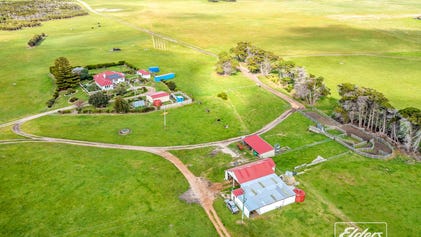 Puncheon Island, Lady Barron TAS 7255 - House for Sale