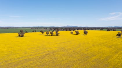 Rural properties for sale in 1011 Wongajong Rd, NSW - property.com.au