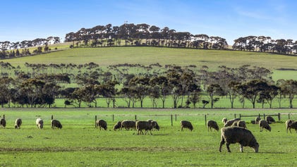 Property and real estate for sale in Mount Moriac, VIC 3240 - property.com. au
