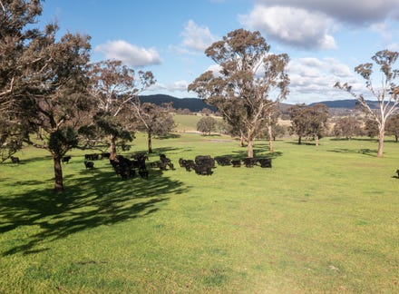 1054 Middle Arm Road, Middle Arm, NSW 2580