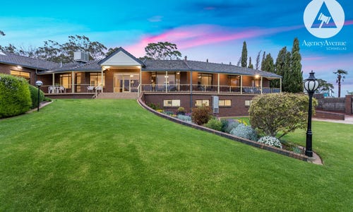 Dearna Schinella Agency Avenue Schinellas Realestate Com Au