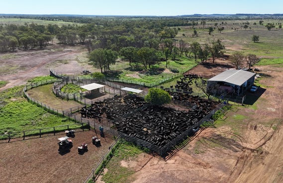 4841 Dunkeld Road, Ballaroo QLD 4455 - property.com.au