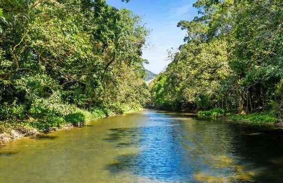 162 The Rocks Road, Redlynch QLD 4870 - property.com.au