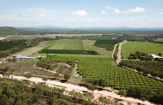 Fassio Rd 323 Fassio Road, Paddys Green QLD 4880 - property.com.au