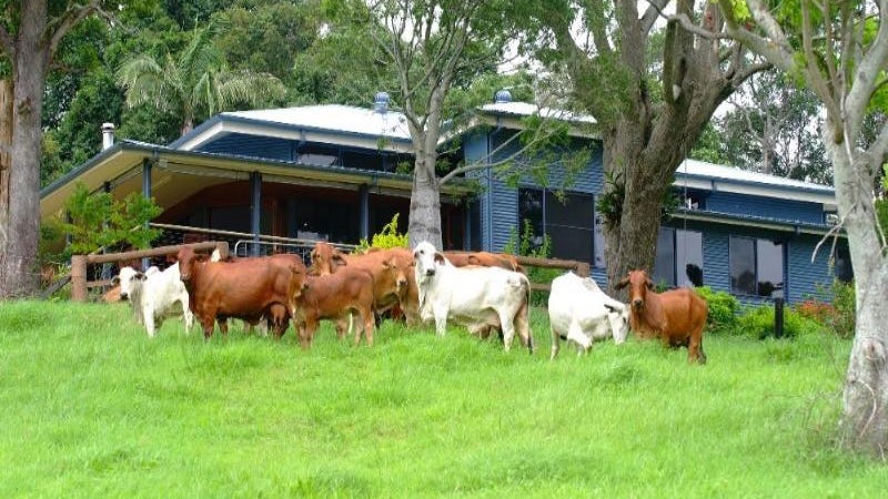 Pest control in Campbells Pocket