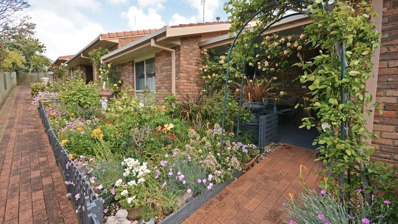 19 Juliani Place Portland Vic 3305 Realestate Com Au 19 Juliani Place Portland Vic 3305