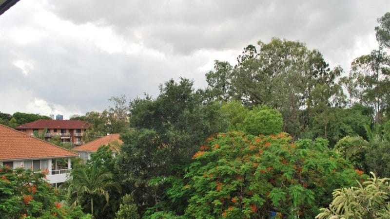 Pest control in Auchenflower