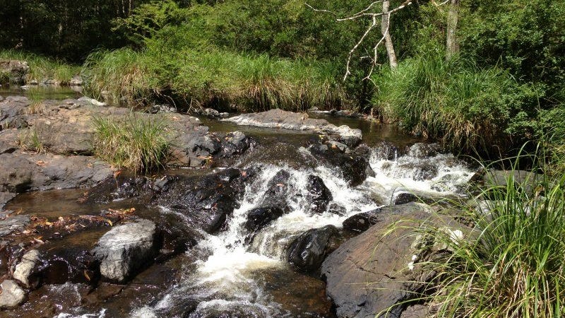 Tuntable creek