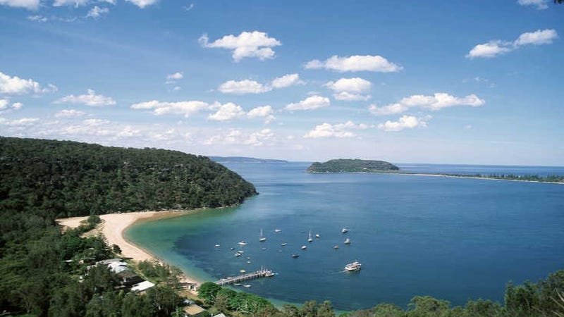 Great mackeral beach