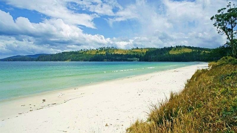 Surveyors bay