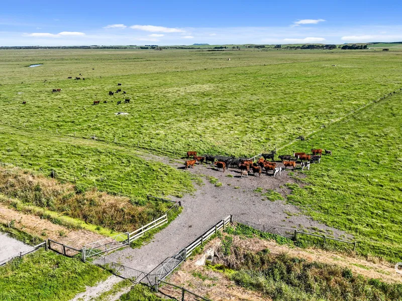 COASTAL FARMING OPPORTUNITY - EXCELLENT TURNOUT BLOCK