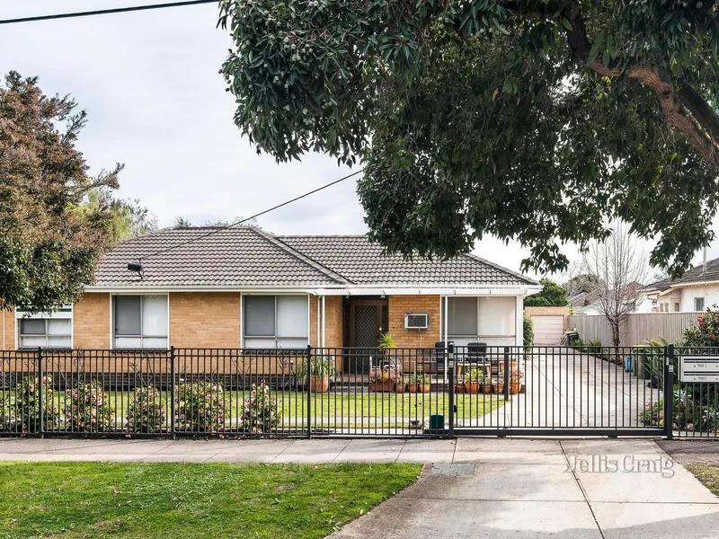 Adored and Updated in Sunlit Bliss