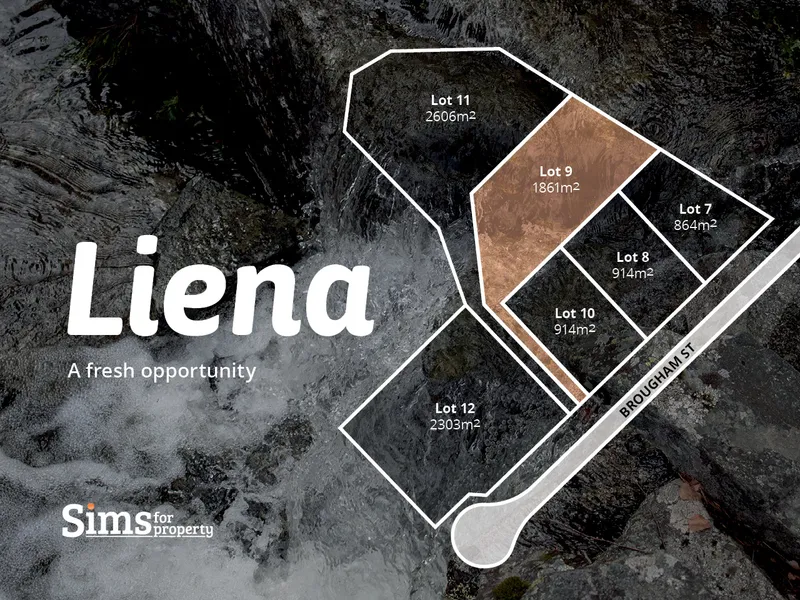 Liena- A Fresh Opportunity