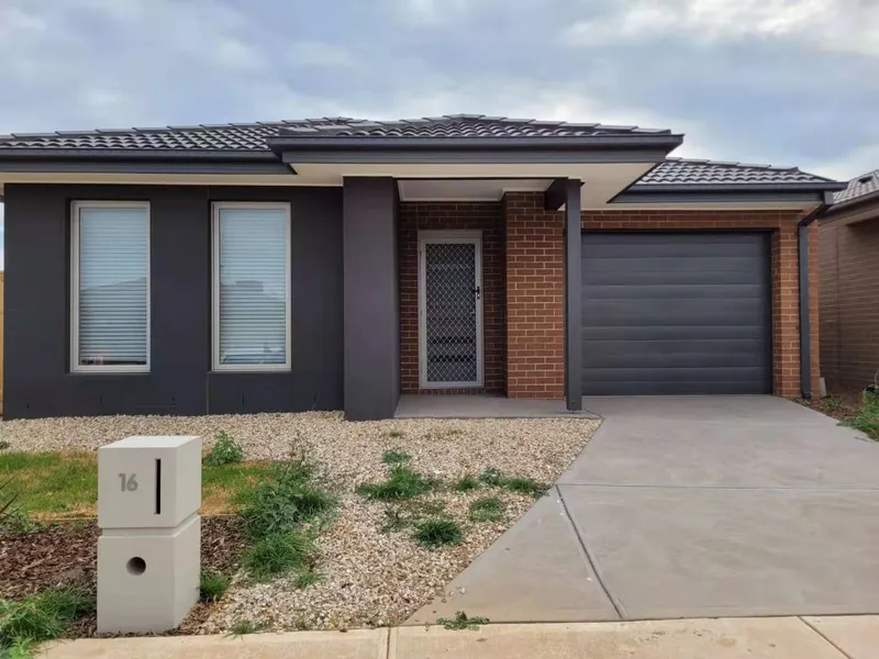 Brand new 4 bedroom Modern Home Close to Everything! 