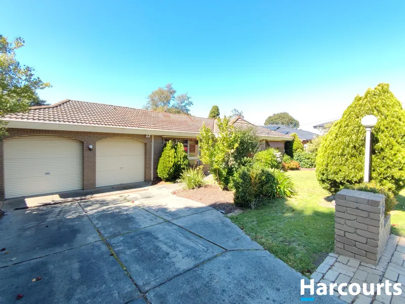 Brilliant Family Lifestyle in Vermont South