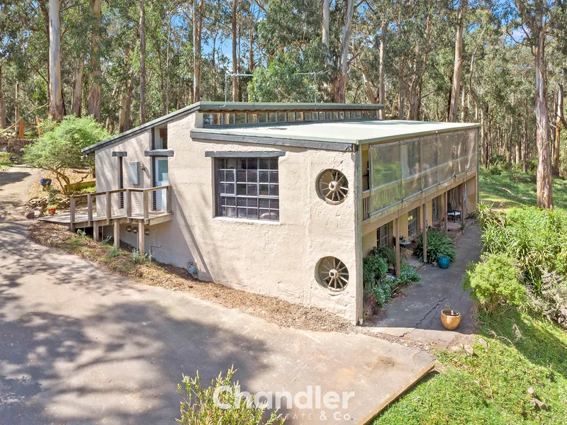 Beautiful Rammed Earth Home Backing Onto Parkland