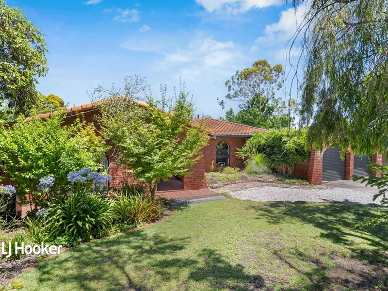 Young and hip, jump in for a dip!