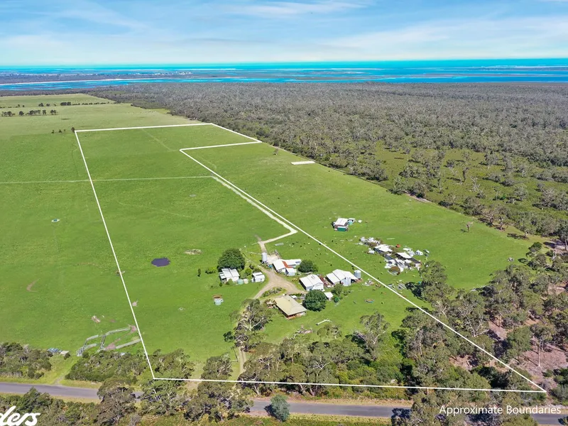 PEACEFUL AND PERFECT - TWO DWELLINGS - 40 ACRES