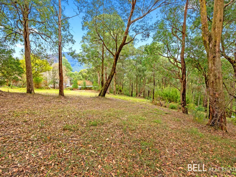 Over 1900sqm of affordable vacant land