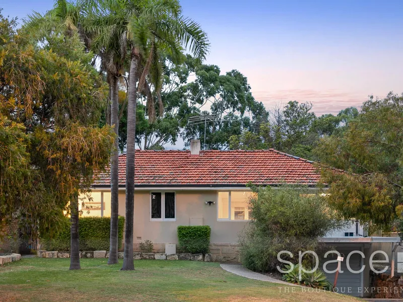 EXPANSIVE GARDEN SANCTUARY RENOVATED 1960'S HOME HUGE ALL WEATHER ALFRESCO ENTERTAINING