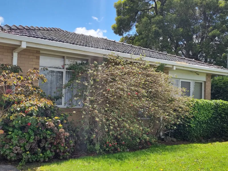 Comfortable on Curdie!