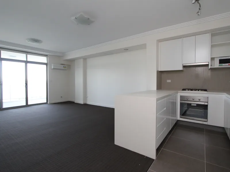 Immaculately Designed and Huge Apartment