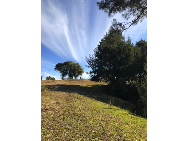 Ready for Your Touch