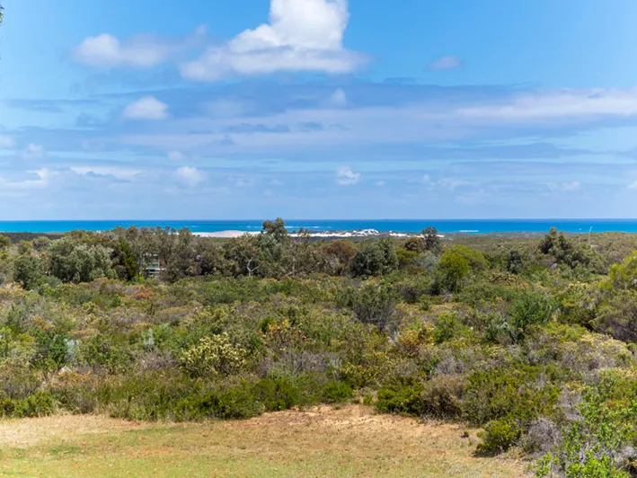 BIG IS BEAUTIFUL THAT IS FOR SURE