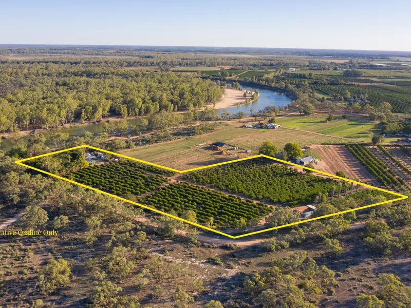 Lifestyle of the edge of the Murray