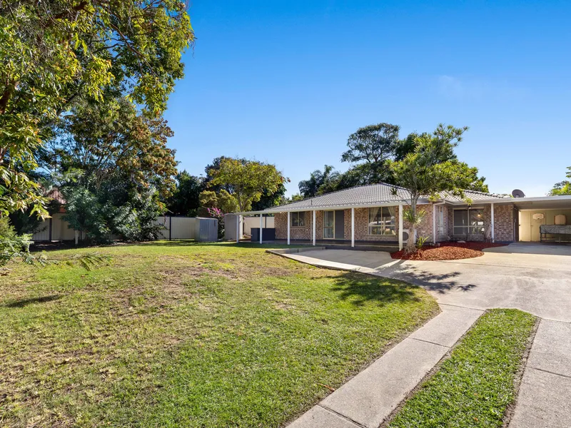 Best Renovation in Boronia Heights - Everything Old Is Brand New Again