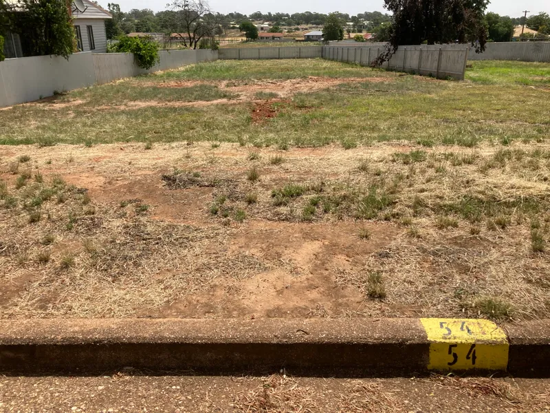 54 Jellicoe Street - AUCTION 9:30am