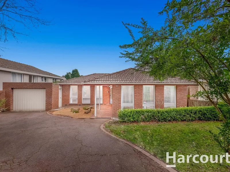 Bright and Elegant in the VSCZ