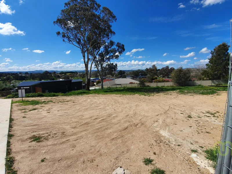 The Possibilities are Endless!