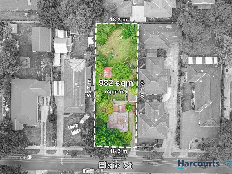 Central Convenience, Sensational Potential