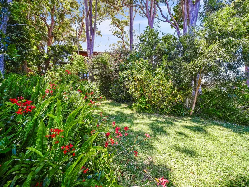 'Tree Tops' - Elizabeth Beach