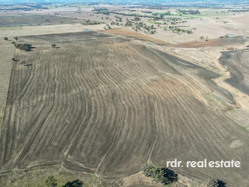 STUNNING VISTAS & THE COUNTRY DREAM